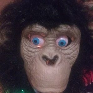 Meet your Posher, Thomas